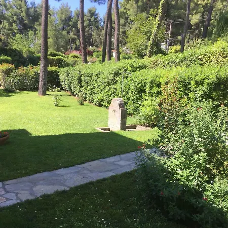 Yanni * Sani (Chalkidiki)